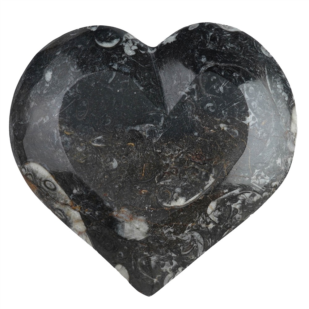 Ciotola a cuore Orthoceras, 15 cm | Gemme Schreier, pietre curative e gioielli