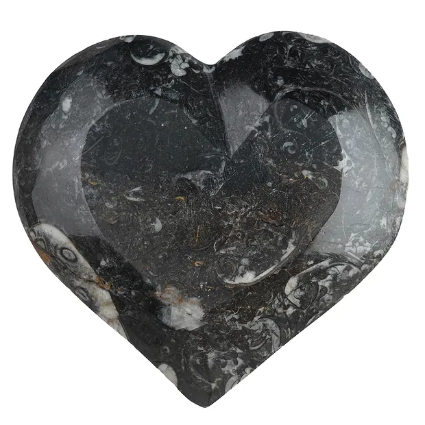 Orthoceras cuenco corazón, 15cm | piedras preciosas, piedras curativas y joyería