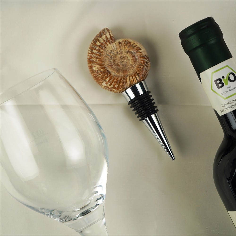 Ammonite de Cierre (Perisphinctes) | Marco Schreier