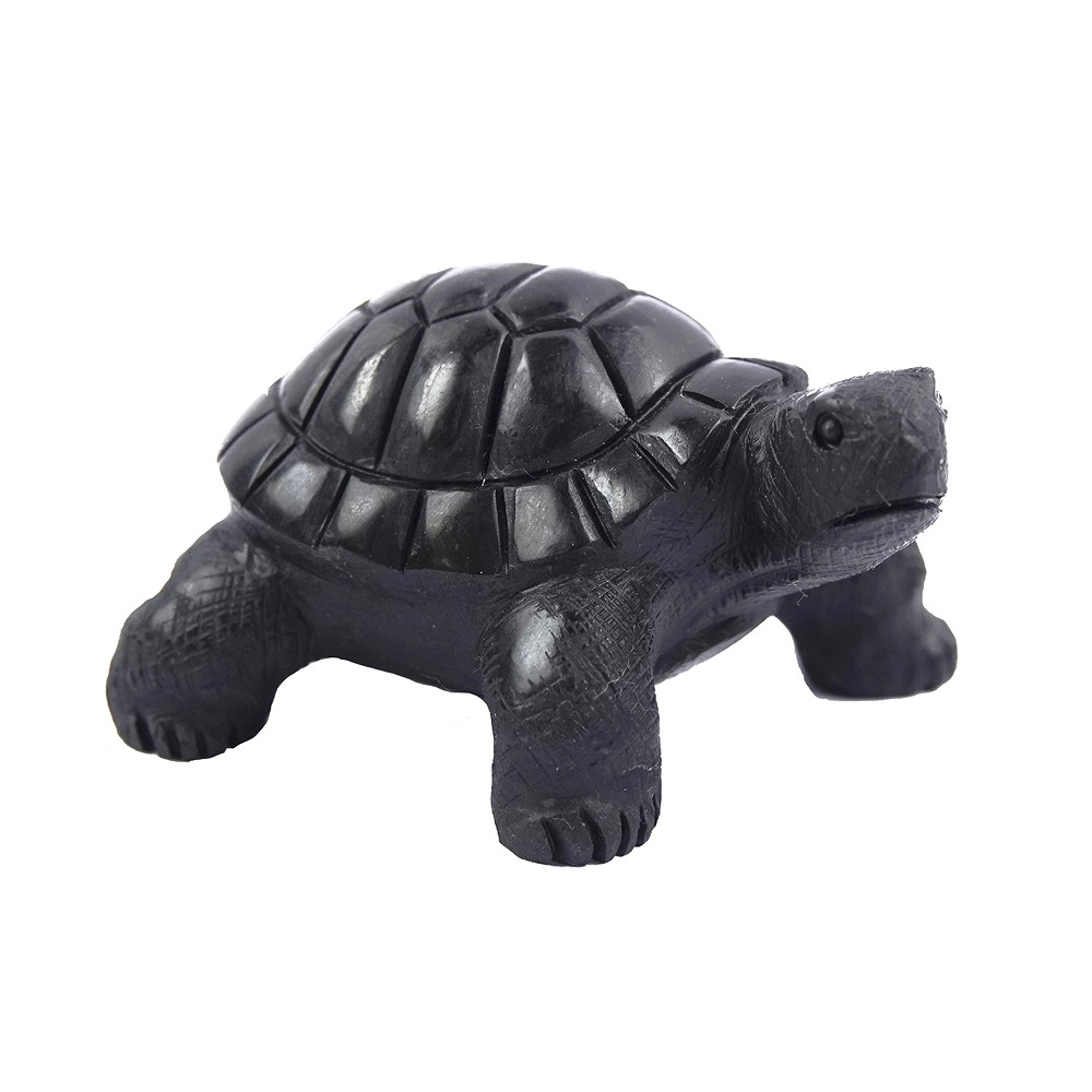 Tartaruga da incisione, Shungite, 4,5 cm | grossista gemme e pietre curative