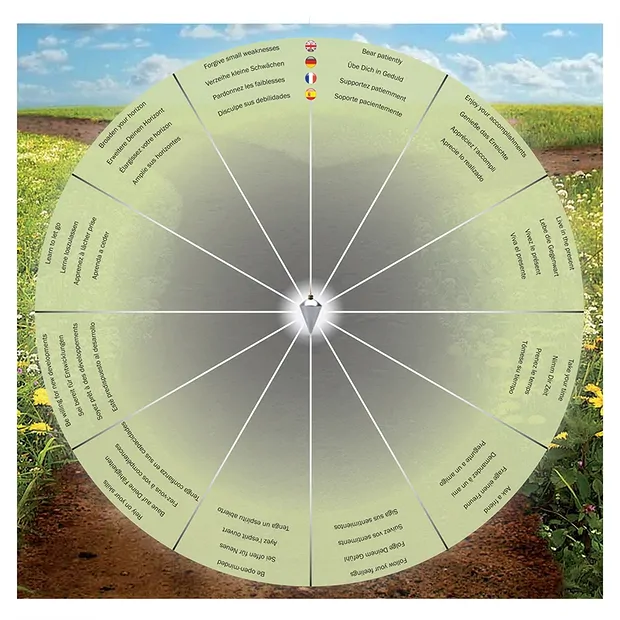 Pendel Schungit (stab.) | Schreier Großhändler Edelsteine, Heilsteine & Schmuck