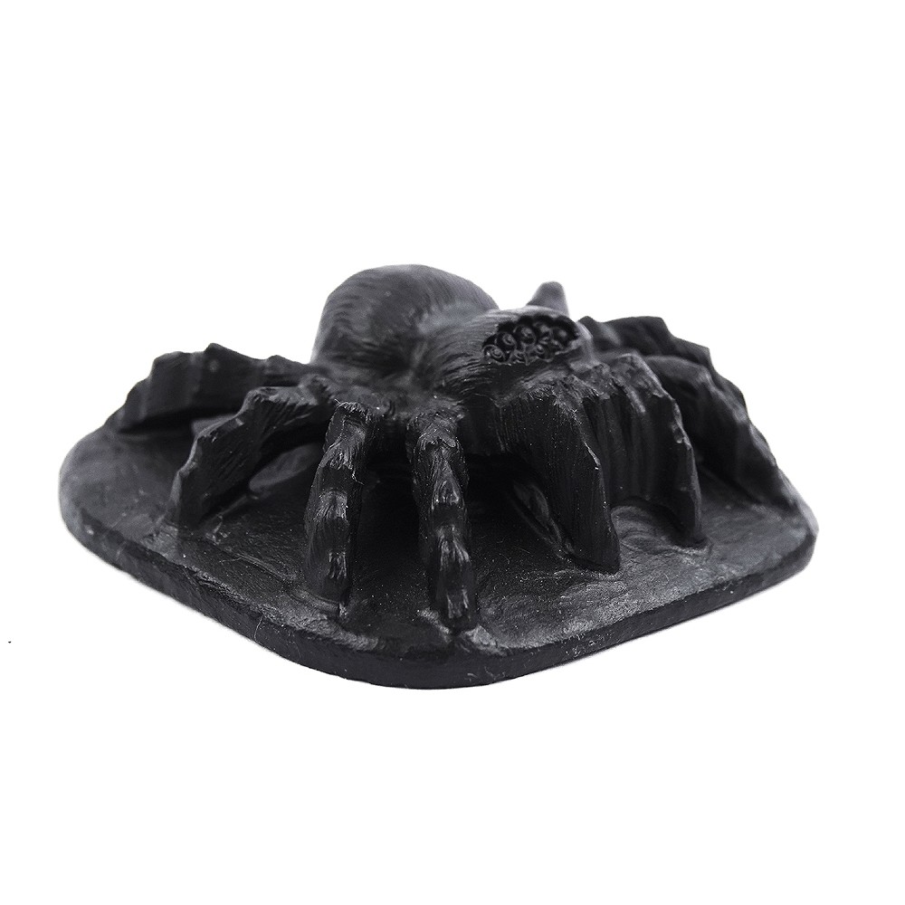 Gravure araignée, Shungite, 6,0cm | Marco Schreier