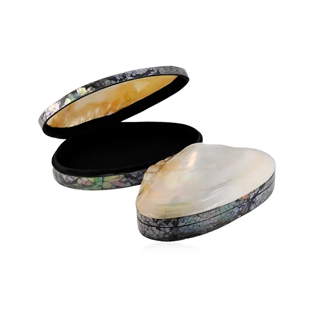 Dose Muschel (Pseudodon), 17-18 x 10cm | Edelsteine, Heilsteine & Schmuck-Handel