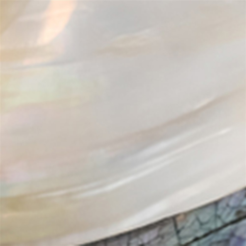 Cofre de mejillones (Pseudodon), 20-22 x 11-13cm | Marco Schreier