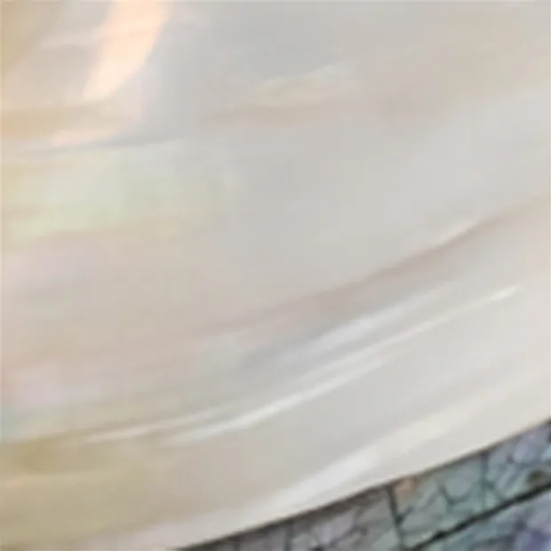 Cofre de mejillones (Pseudodon), 20-22 x 11-13cm | Marco Schreier