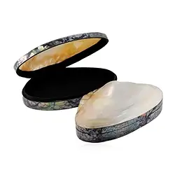 1060908007 Dose Muschel (Pseudodon), 20-22 x 11-13cm | GH Edelsteine, Heilsteine & Schmuck