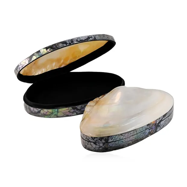 Dose Muschel (Pseudodon), 20-22 x 11-13cm | GH Edelsteine, Heilsteine & Schmuck