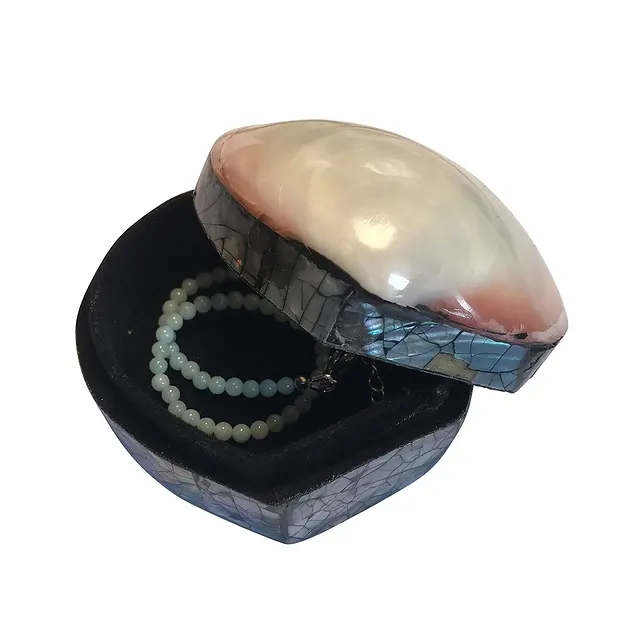 Dose Muschel (Perlmutt hell), 6 x 6cm | Edelsteine, Heilsteine & Schmuck-Handel