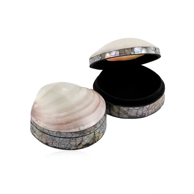 Dose Muschel (Perlmutt hell), 6 x 6cm | Edelsteine, Heilsteine & Schmuck-Handel