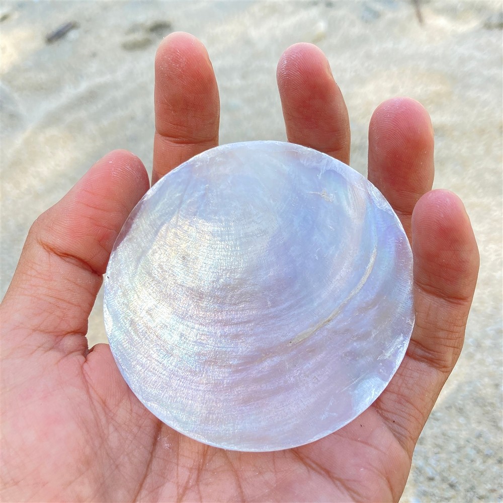 Vela de té de loto Capiz shell rosa | Marco Schreier
