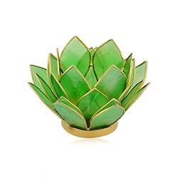 1061405139 Lotos-Teelicht Capiz-Muschel grün | Großhändler Edelsteine, Heilsteine & Schmuck