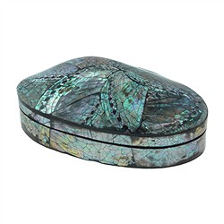 1061708001 Box shell lid, 15 x 11cm | wholesaler - gems, precious & healing stones, jewelry