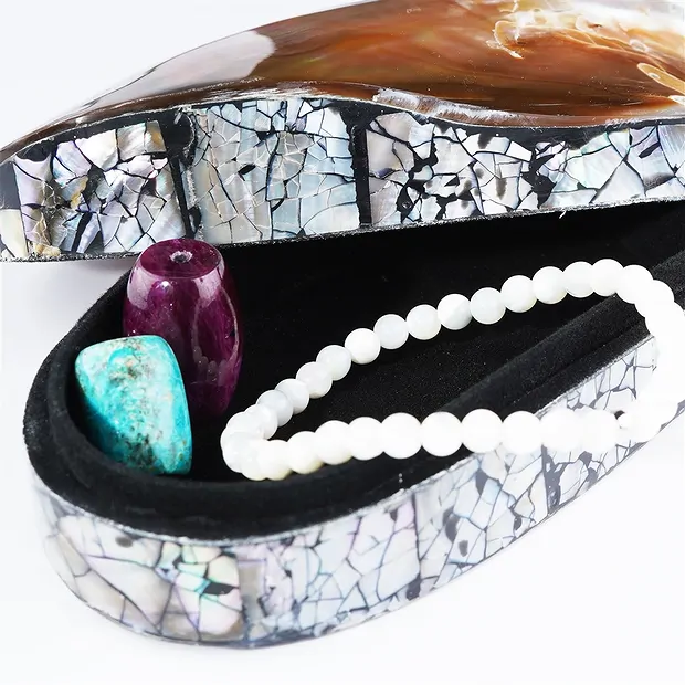 Box of mussels (Pteria penguin), 10-12 x 7-8cm | gems, healing stones & jewelry