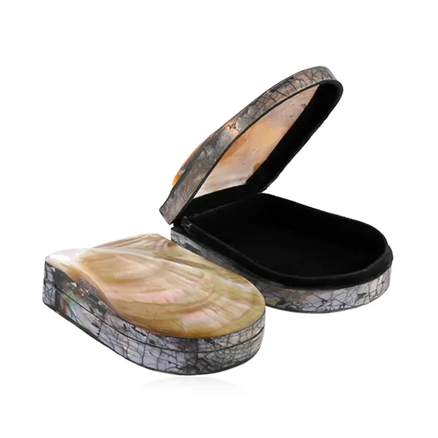 Dose Muschel (Pteria penguin), 10-12 x 7-8cm | Edelsteine, Heilsteine & Schmuck