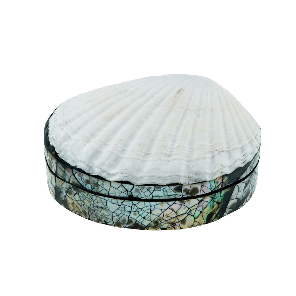 Dose Muschel-Deckel, 11 x 11cm | Großhändler Edelsteine, Heilsteine & Schmuck