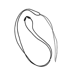 1205700416 Collier en nylon avec mécanisme de déplacement, noir, 2,0mm/41 - 82cm | Marco Schreier