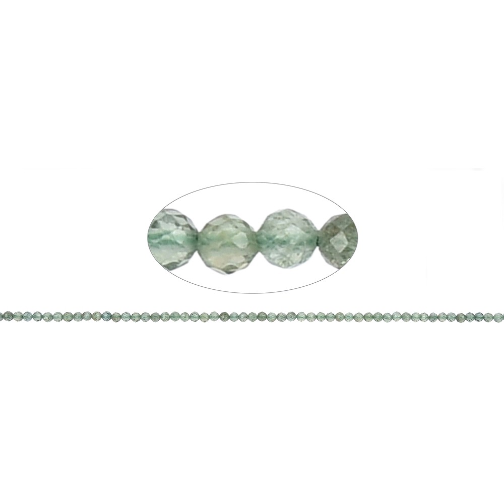 String Beads, Apatite (green) (stab.), faceted, 02,5mm (39cm) | Marco Schreier