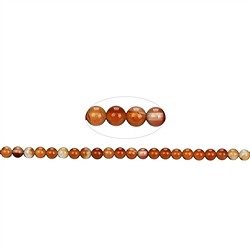 140430100320 Filo di perline, corniola (bruciata), 04 mm | grossista gemme e pietre curative