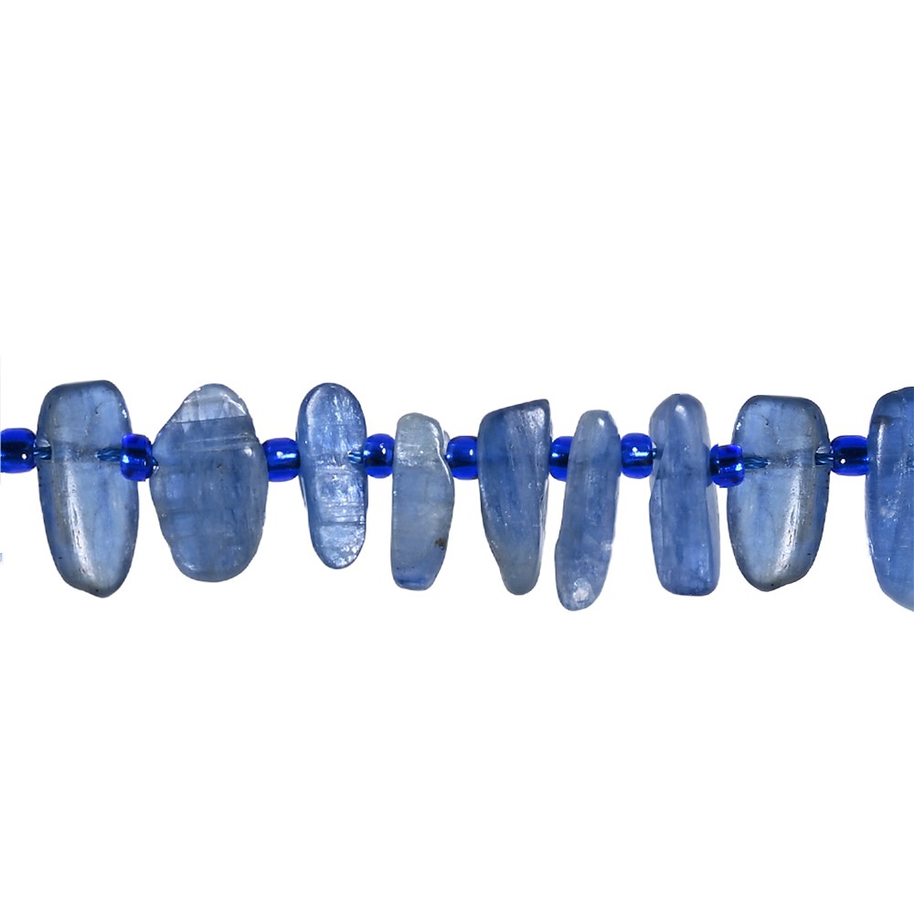 Rang de colliers Nugget "dent", Disthène, 06-08 x 13-16mm | Marco Schreier