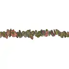 https://cdn.marcoschreier.com/content/productimages/140690622920_zoom.jpg