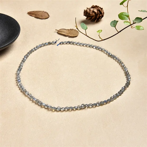 Coin strand, labradorite, faceted, 04mm | wholesaler gems & healing stones