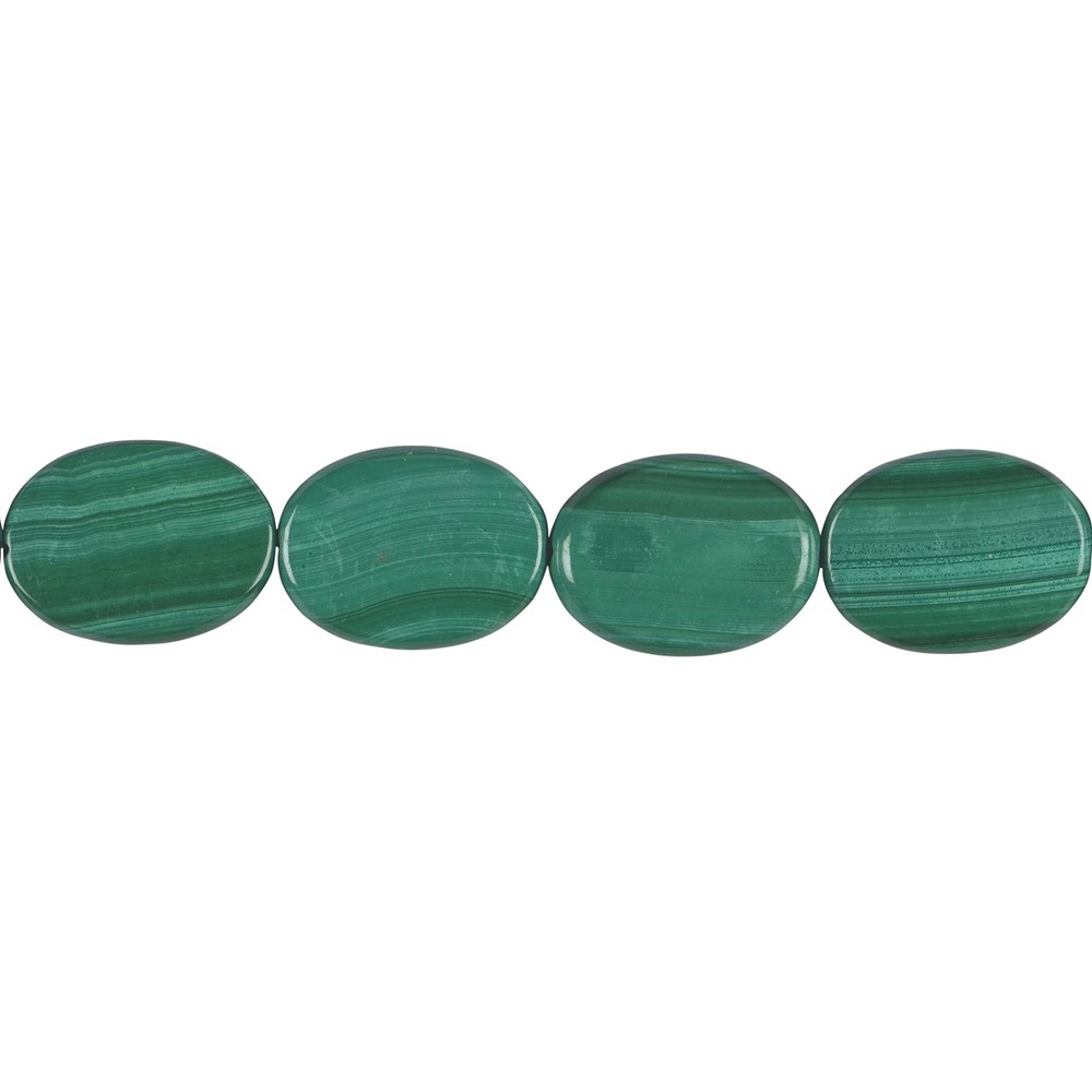 Lense strand, Malachite (stab.), 20 x15 mm | wholesaler gems & healing stones