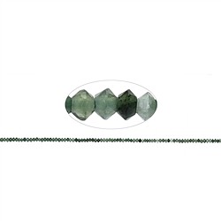 141160325420 Strang Button/Disc, Nephrit, facettiert, 01 x 02mm | Marco Schreier