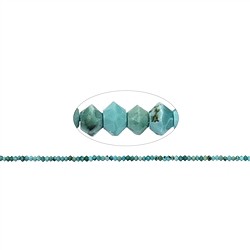 141550325420 Rang de colliers Boutons/Disque, Turquoise (stab.), facettes, 01 x 02mm | Marco Schreier