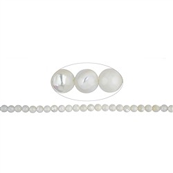 141750100720 Filo di perline, Madreperla (chiaro), 08 mm | grossista gemme e pietre curative