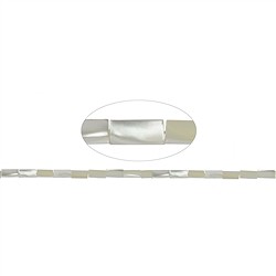 141750207320 Rang de colliers, nacre (claire), 12 x 05 x 05mm | Marco Schreier