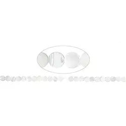 141750320098 Rang de collier Pièce, nacre (claire), 08mm (39cm)   | Marco Schreier