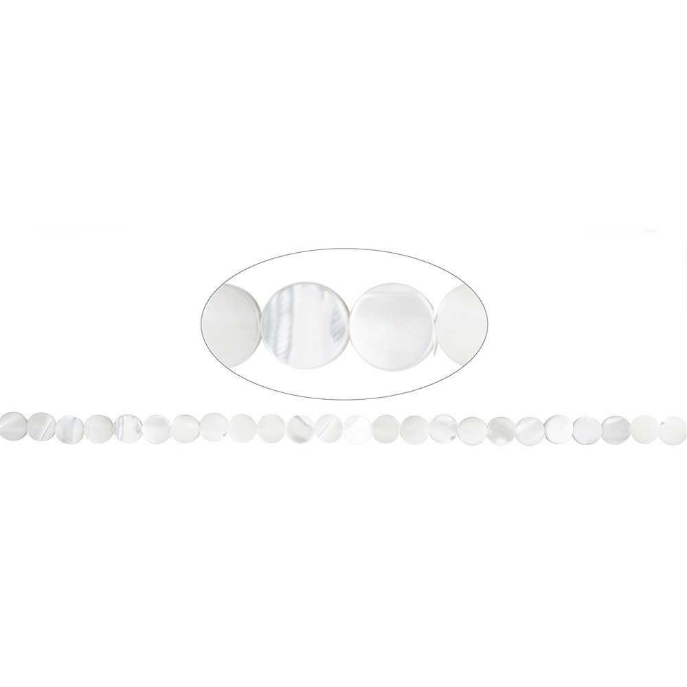 Strang Coin, Perlmutt (hell), 08mm (39cm)   | Edelsteine, Heilsteine & Schmuck