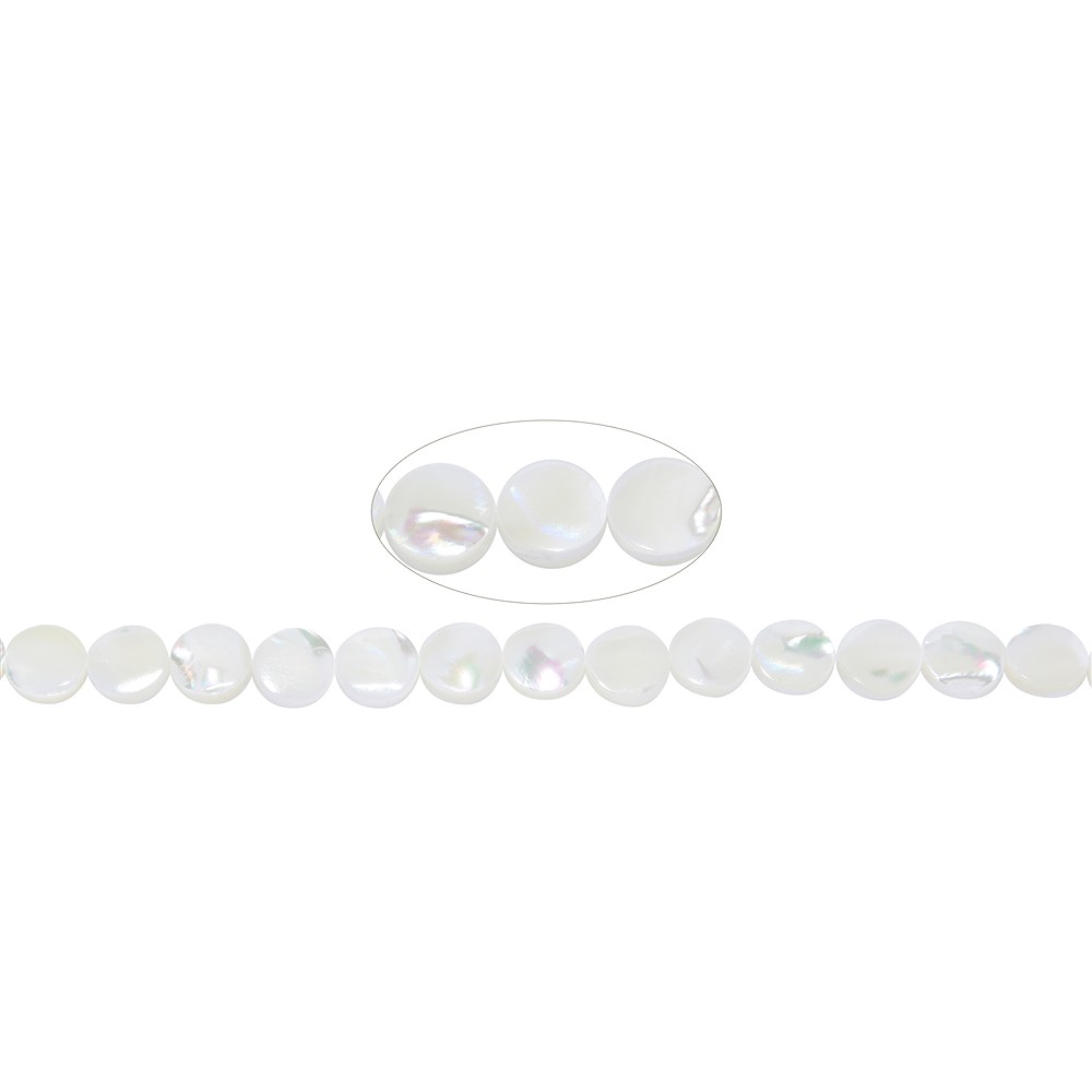 Strang Coin, Perlmutt (hell), 10mm | Großhandel Edelsteine, Heilsteine & Schmuck