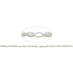 141750513720 Strand of rice grain, Mother of Pearl (light), 05 x 03mm | Marco Schreier