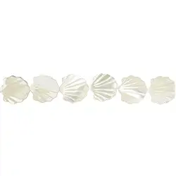 141751104720 Strand of shell, Mother of Pearl (light), 13 x 13mm | Marco Schreier