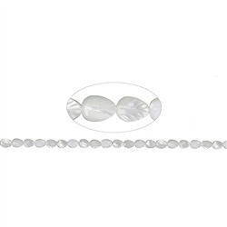 141751104920 Fili di foglie, Madreperla (chiara), 08 x 06 mm | Marco Schreier