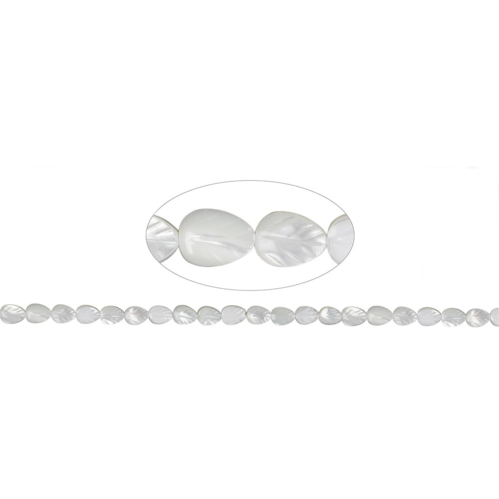 Strand of leaves, Mother of Pearl (light), 08 x 06mm | Marco Schreier