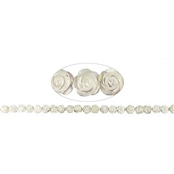 141751106020 Rose strand, Mother of Pearl (light), 12mm | wholesaler gems & healing stones