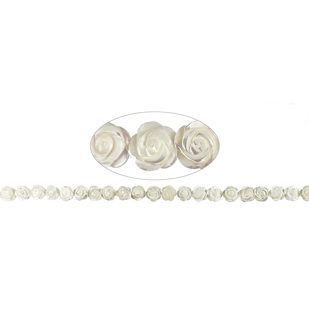 Strang Rose, Perlmutt (hell), 12mm | Großhandel Edelsteine, Heilsteine & Schmuck