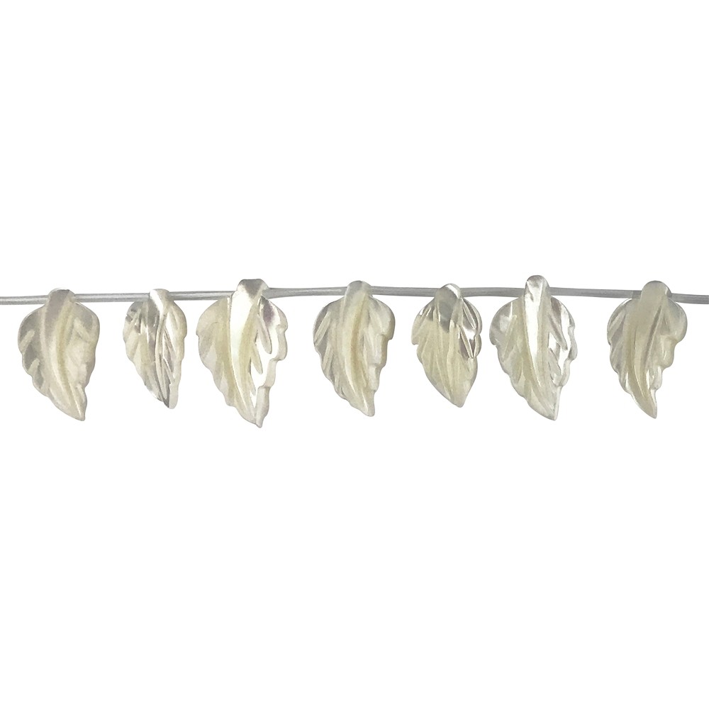 Rang de colliers, feuilles, nacre (claire), 12-15 x 20-25mm | Marco Schreier
