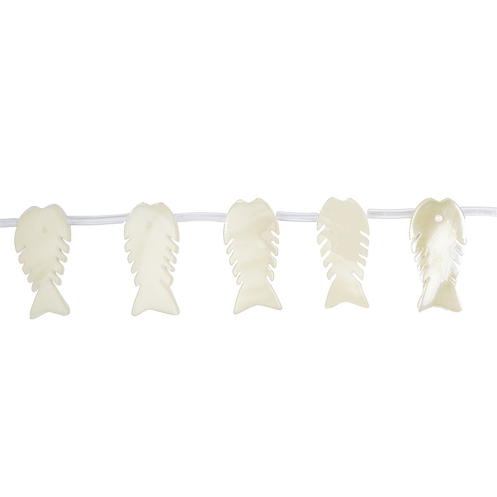 Rang de colliers Poissons, nacre (claire), 09 x 20mm | Marco Schreier