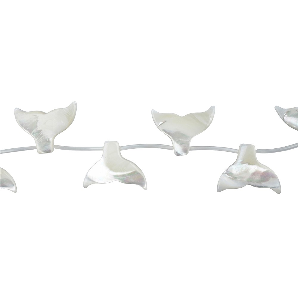 Rangs de colliers, nageoire de baleine, nacre (claire), 25 x 18mm | Marco Schreier