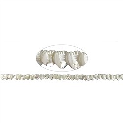 141751200920 Pisces/heart strand, Mother of Pearl (light), 12mm | Marco Schreier