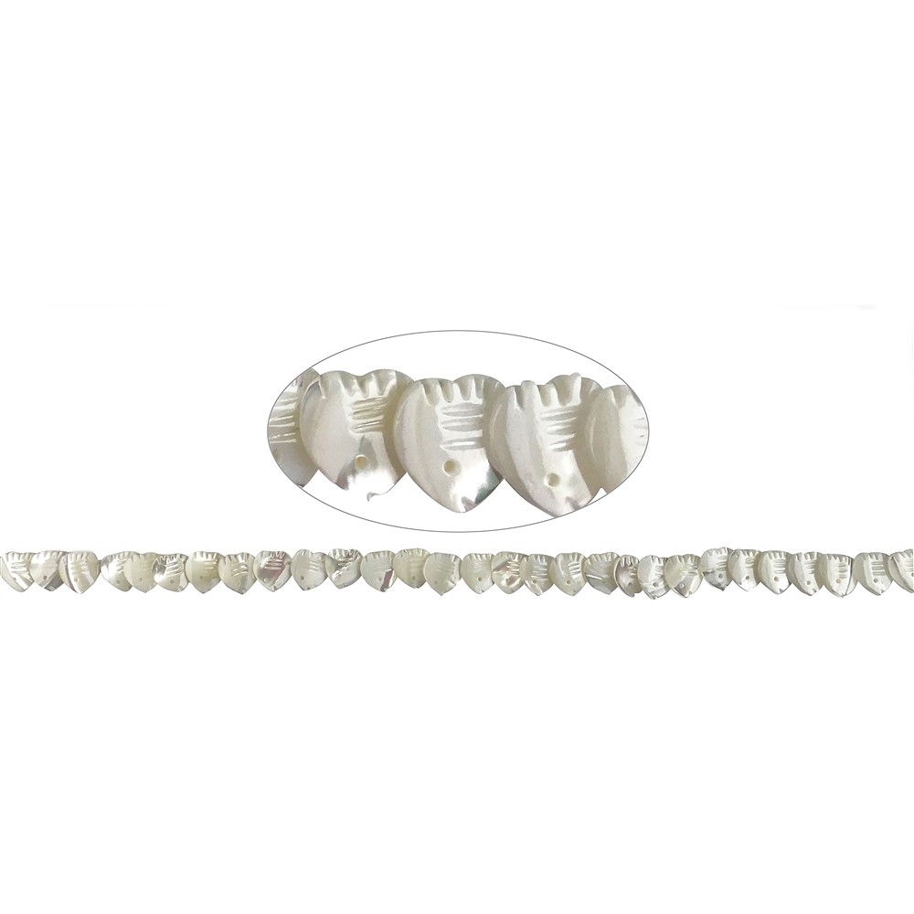 Strang Fisch/Herz, Perlmutt (hell), 12mm | GH Edelsteine, Heilsteine & Schmuck
