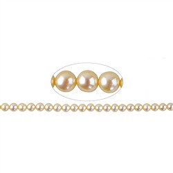 141840106314 Round strand, freshwater pearls, light gold, 04–05 mm (38 cm) | Marco Schreier