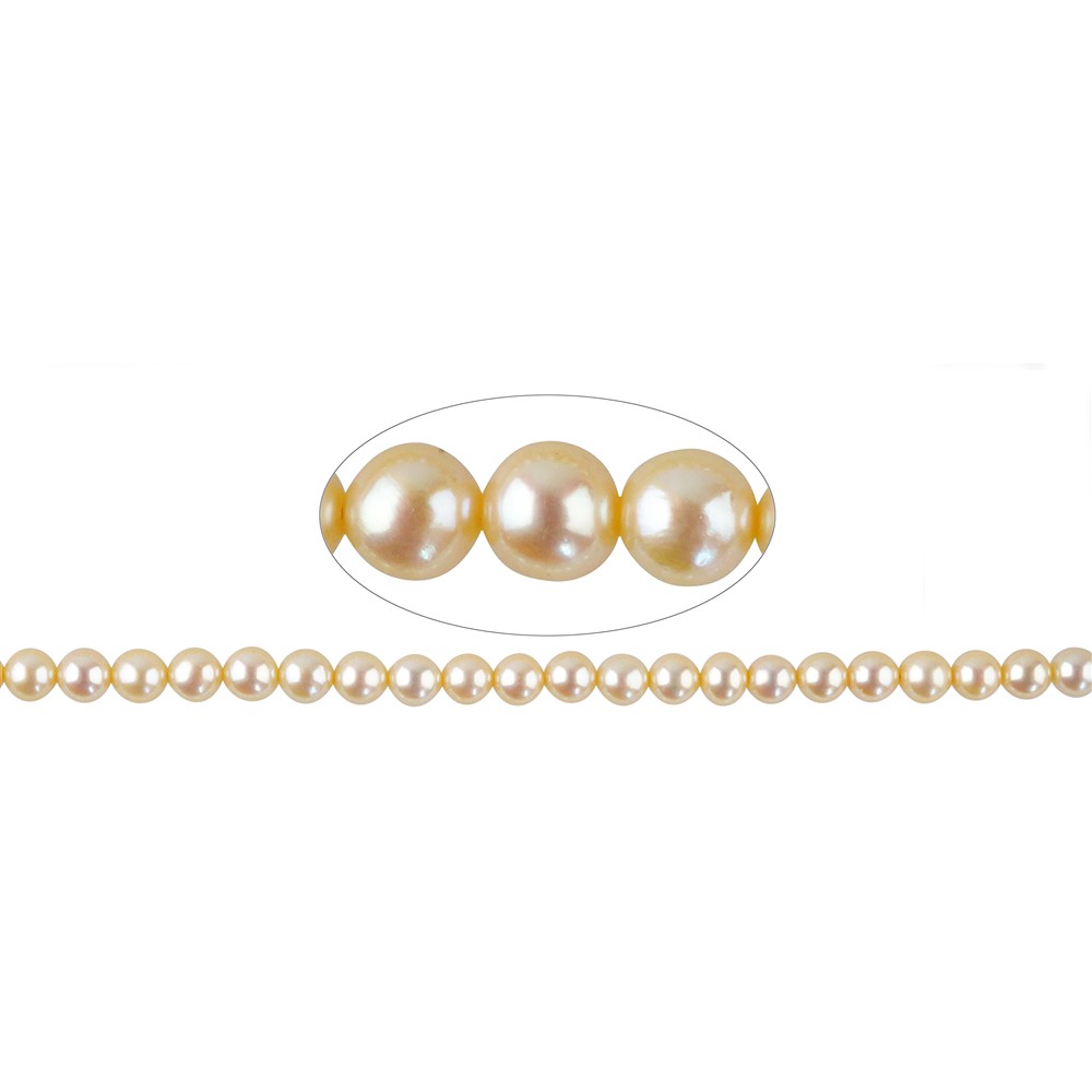 Round strand, freshwater pearls, light gold, 04–05 mm (38 cm) | Marco Schreier