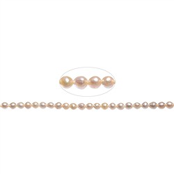 141840109505 Filo rotondo, perla d'acqua dolce, salmone (naturale), 03-04 mm | Marco Schreier