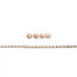 141840109505 Rang de collier rond, perle d'eau douce, saumon (naturel), 03-04mm | Marco Schreier