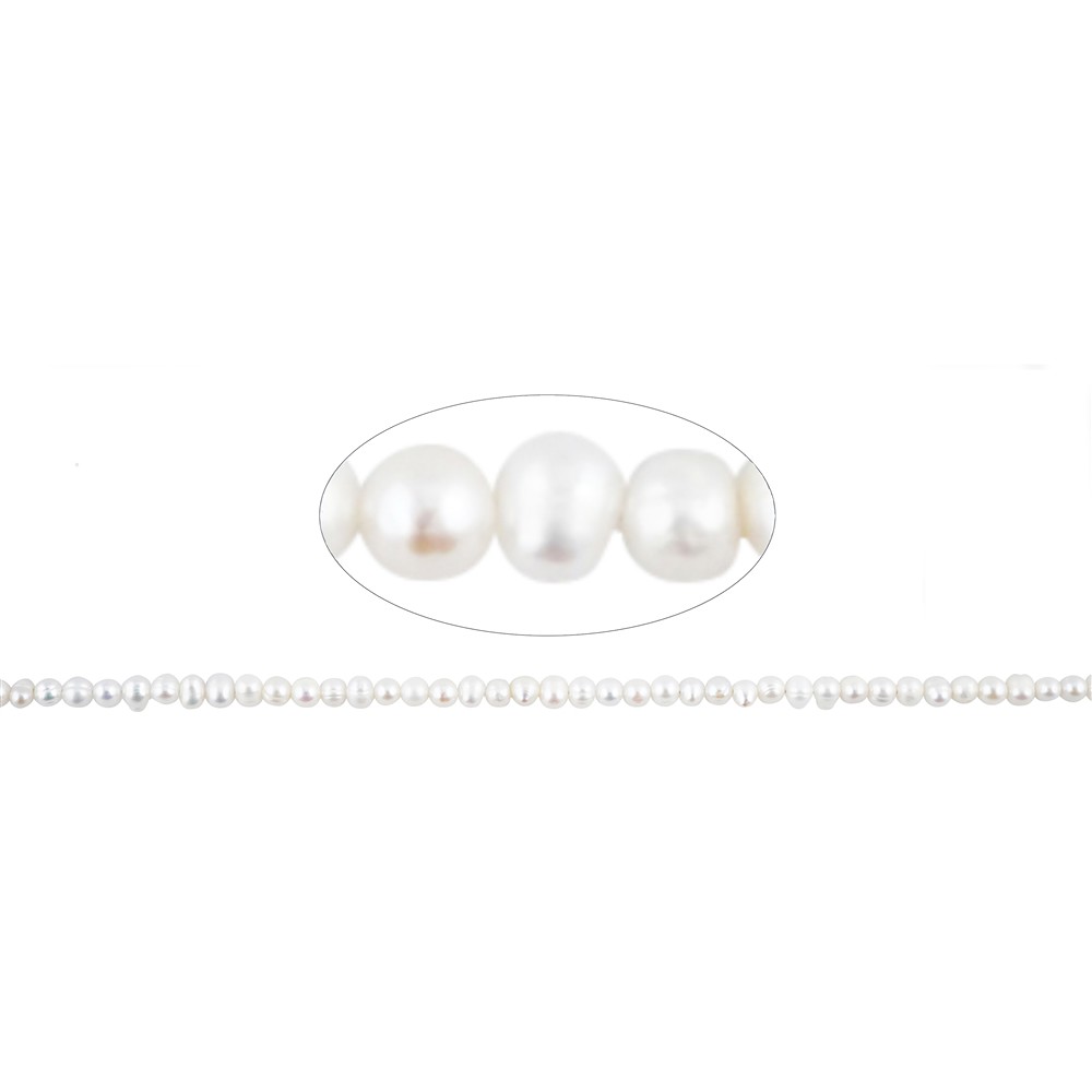 Collar redondo/botón, perla de agua dulce A, blanca, 02 - 02.5mm | Marco Schreier