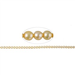 141840205313 Hilo redondo, perla de agua dulce, oro claro, 03,5 - 04 mm (38 cm) | Marco Schreier